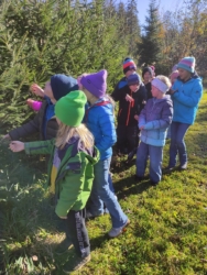 Unterwegs im Wald