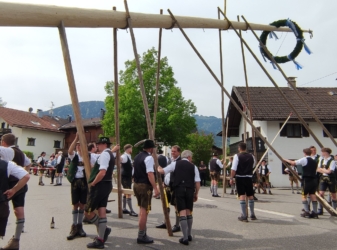 Schauts an grad o – an Maibaum do!