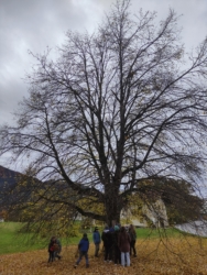 Auf den Spuren der Vergangenheit